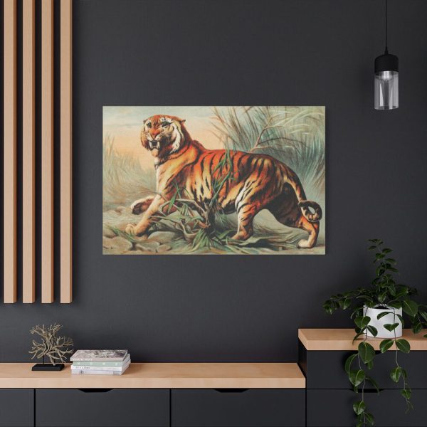 91638-593.jpg Royal Bengal Tiger by John Karst Standard Canvas