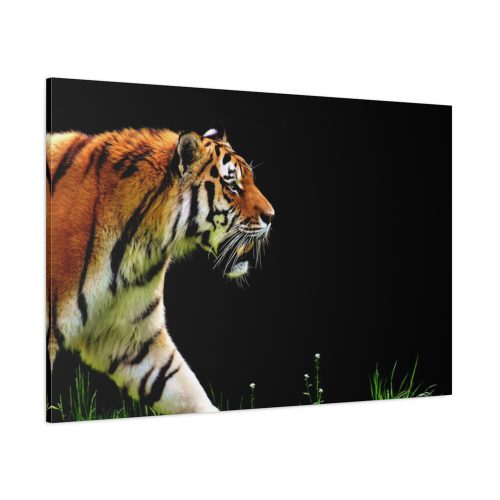 A Tiger in the Darkness Standard Canvas