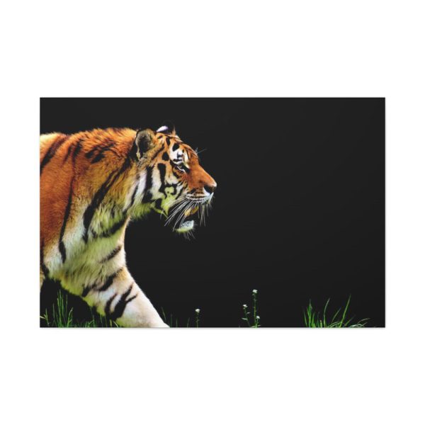 91638-596.jpg A Tiger in the Darkness Standard Canvas