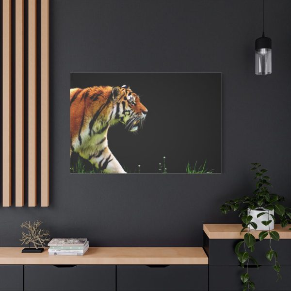 91638-598.jpg A Tiger in the Darkness Standard Canvas