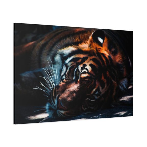 91638-600.jpg Close-up Tiger Head Resting in the Shade Standard Canvas