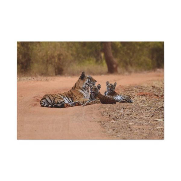 91638-606.jpg Tiger and Cubs on Dusty Road Standard Canvas
