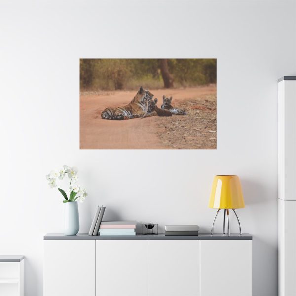 91638-607.jpg Tiger and Cubs on Dusty Road Standard Canvas
