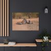 91638-608.jpg Tiger and Cubs on Dusty Road Standard Canvas
