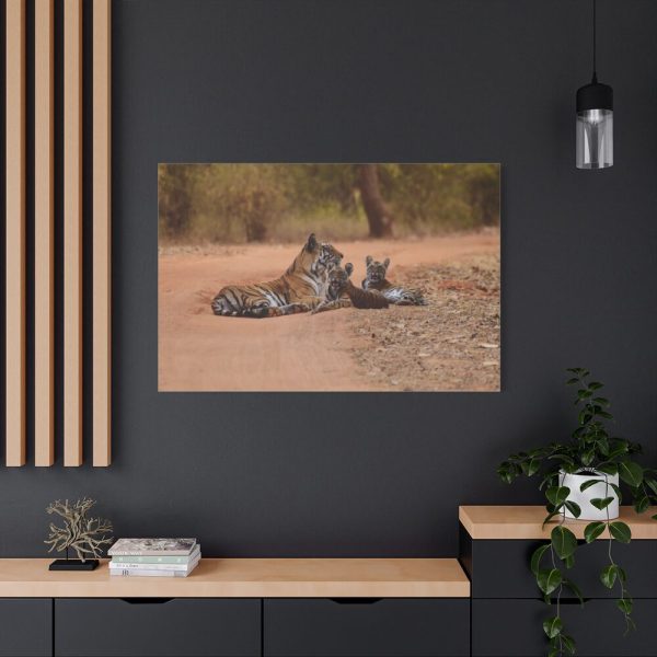 91638-608.jpg Tiger and Cubs on Dusty Road Standard Canvas