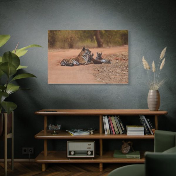 91638-609.jpg Tiger and Cubs on Dusty Road Standard Canvas