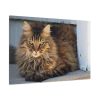 91638-610.jpg Brown Tabby Maine Coon Cat Standard Canvas