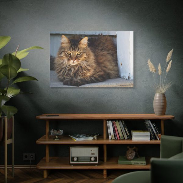 91638-614.jpg Brown Tabby Maine Coon Cat Standard Canvas