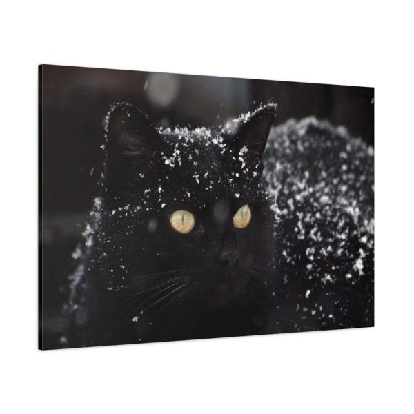 91638-615.jpg Black Persian Cat Standard Canvas