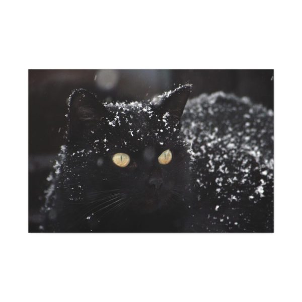 91638-616.jpg Black Persian Cat Standard Canvas