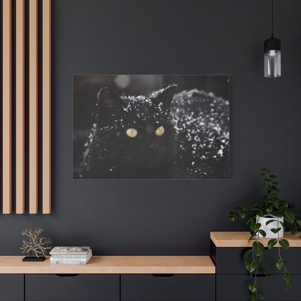 91638-618.jpg Black Persian Cat Standard Canvas