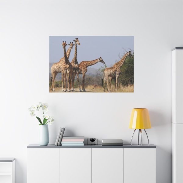 91638-622.jpg Free Giraffes in the Wild Standard Canvas
