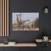 91638-623.jpg Free Giraffes in the Wild Standard Canvas