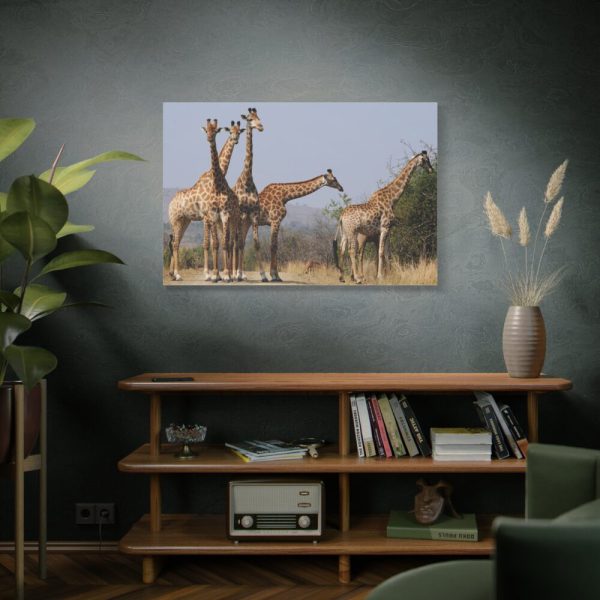 91638-624.jpg Free Giraffes in the Wild Standard Canvas