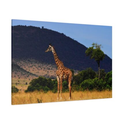 Giraffe in Savanna Standard Canvas