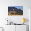 91638-627.jpg Giraffe in Savanna Standard Canvas