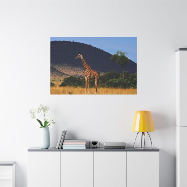 91638-627.jpg Giraffe in Savanna Standard Canvas