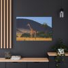 91638-628.jpg Giraffe in Savanna Standard Canvas