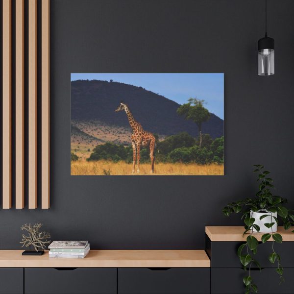 91638-628.jpg Giraffe in Savanna Standard Canvas