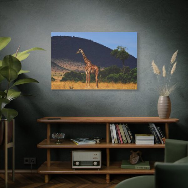 91638-629.jpg Giraffe in Savanna Standard Canvas