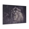 Close Up Shot of a Lion's Face in Black and White Standard Canvas