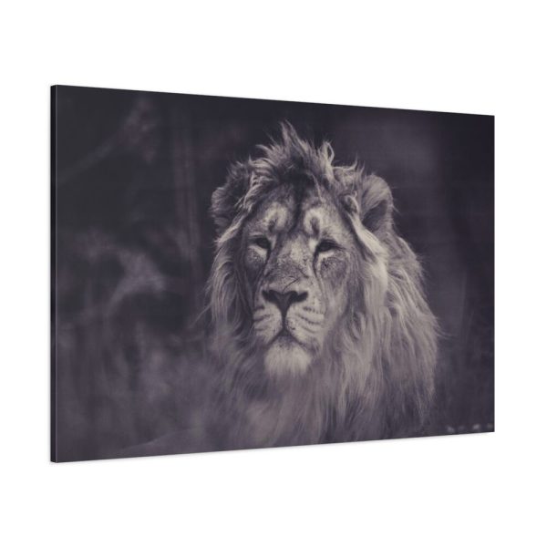 Close Up Shot of a Lion's Face in Black and White Standard Canvas