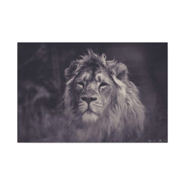 Close Up Shot of a Lion's Face in Black and White Standard Canvas