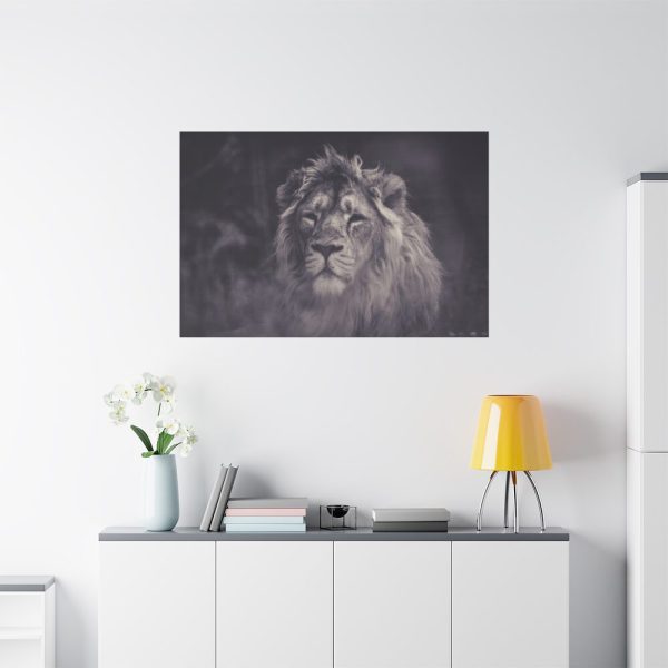 Close Up Shot of a Lion's Face in Black and White Standard Canvas