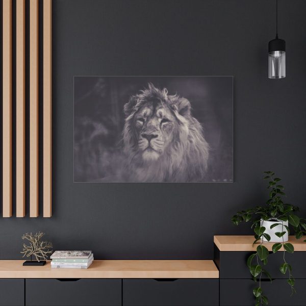 Close Up Shot of a Lion's Face in Black and White Standard Canvas