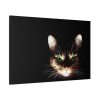 91638-650.jpg Bengal Cat in the Dark Standard Canvas
