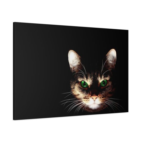 91638-650.jpg Bengal Cat in the Dark Standard Canvas