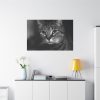 91638-657.jpg Cute European Shorthair Cat Standard Canvas