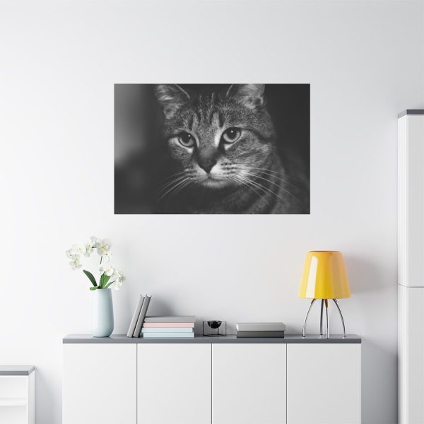 91638-657.jpg Cute European Shorthair Cat Standard Canvas