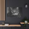 91638-658.jpg Cute European Shorthair Cat Standard Canvas