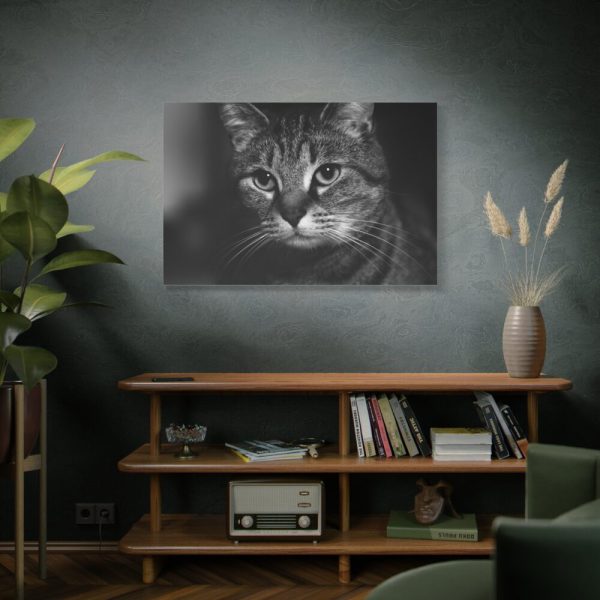 91638-659.jpg Cute European Shorthair Cat Standard Canvas
