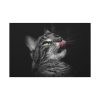 91638-661.jpg Cute Striped Cat Standard Canvas