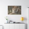 91638-67.jpg Beautiful Male Lion Standard Canvas