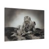91638-670.jpg Lion with Cubs Standard Canvas