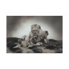 91638-671.jpg Lion with Cubs Standard Canvas