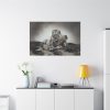 91638-672.jpg Lion with Cubs Standard Canvas
