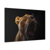 91638-675.jpg Lion Roar Standard Canvas