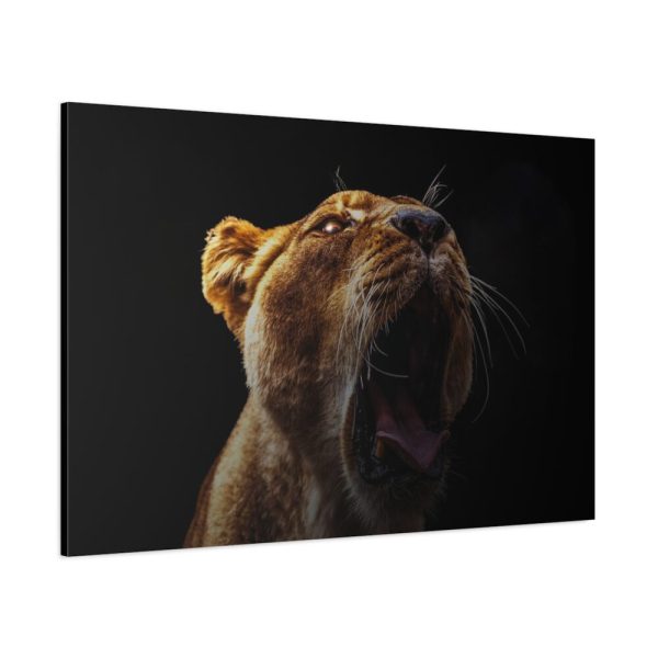 91638-675.jpg Lion Roar Standard Canvas