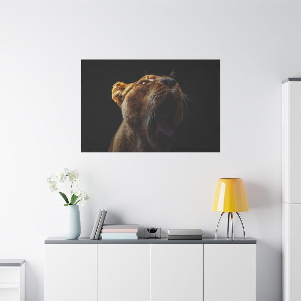 91638-677.jpg Lion Roar Standard Canvas
