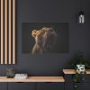 91638-678.jpg Lion Roar Standard Canvas