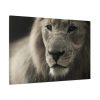 Lion King Face Standard Canvas