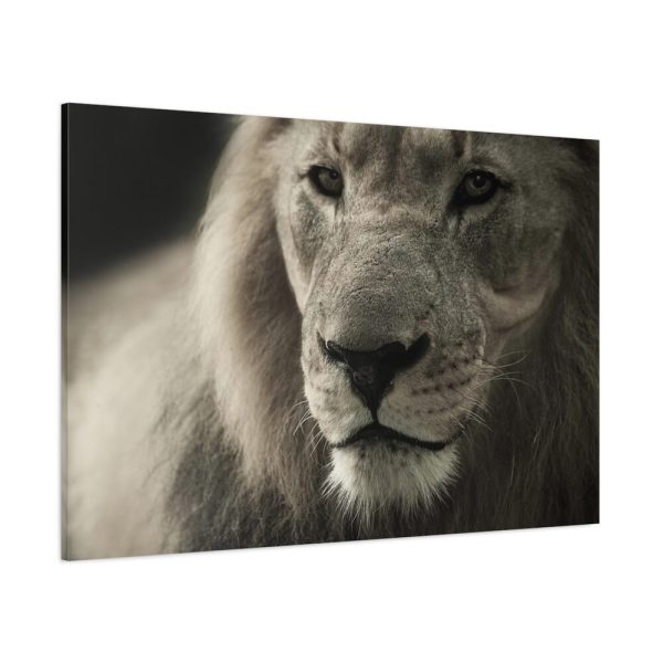 Lion King Face Standard Canvas