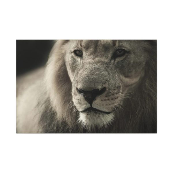 Lion King Face Standard Canvas