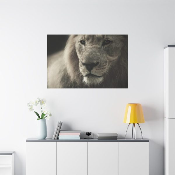 Lion King Face Standard Canvas