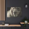 Lion King Face Standard Canvas