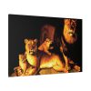 A Pride Of Lions by Jean Baptiste Huet Standard Canvas